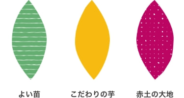 よい苗、こだわりの芋、赤土の大地