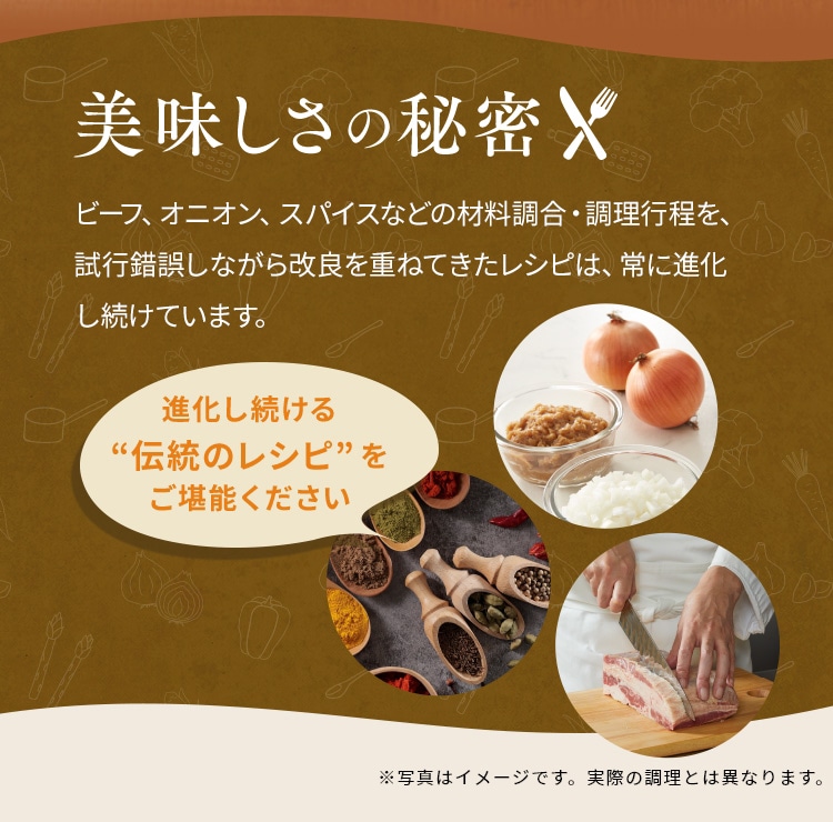 ロイヤルクイーンの電気フライパン+レシピ本